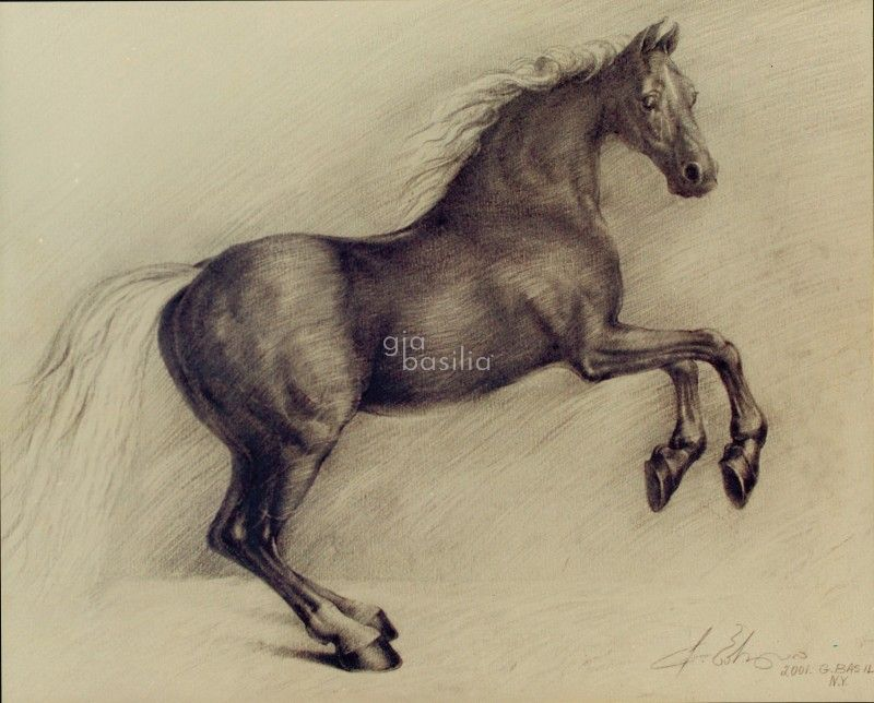 Gia Basilia Fine Art Gia Basilia Fine Art